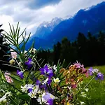 Vakantiehuis Gruppenhaus Hirzhof In Out Sommercard