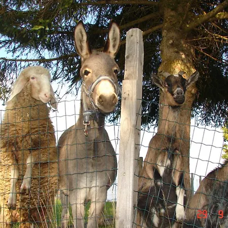 Hirzhof So Bike&Ski Ridehaus Ski In Ski Out Vakantiehuis