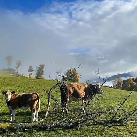 Gruppenhaus Hirzhof In Out Sommercard Semesterbostad