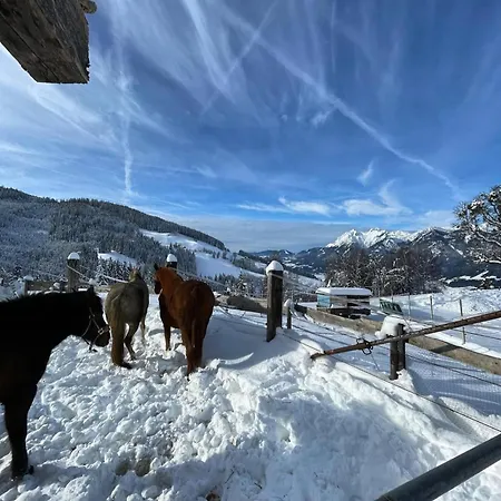 Gruppenhaus Hirzhof In Out Sommercard * Auberg