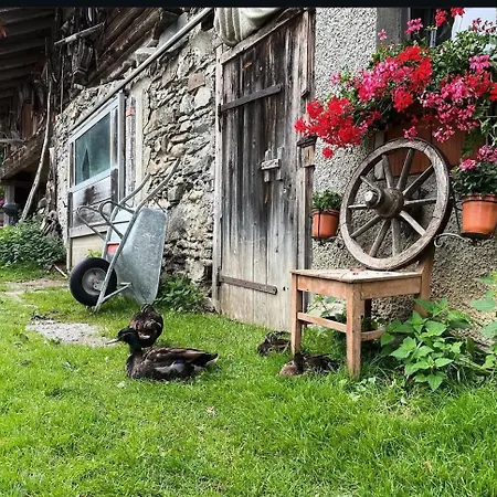 Gruppenhaus Hirzhof In Out Sommercard Semesterbostad *