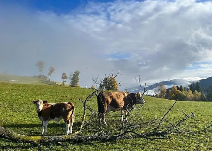 Hirzhof So Bike&ski Ridehaus In Out 펜션