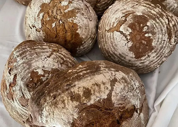 Hirzhof So Bike&ski Ridehaus In Out 펜션