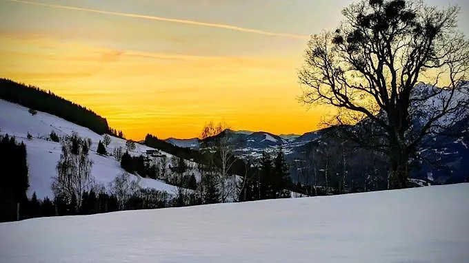 度假居 Hirzhof So Bike&ski Ridehaus In Out *