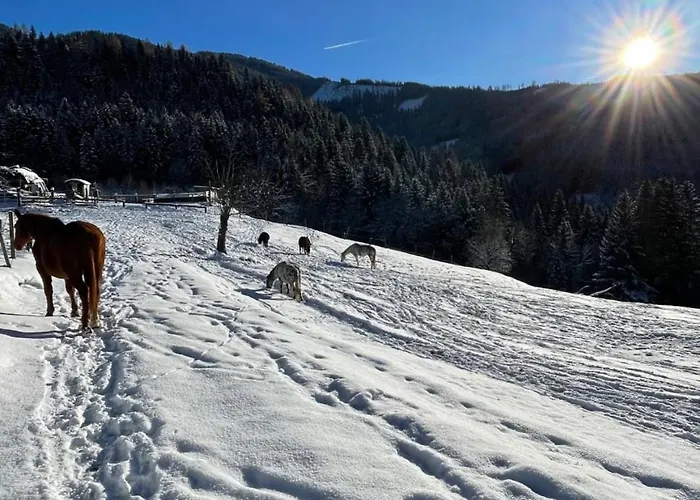 펜션 Hirzhof So Bike&ski Ridehaus In Out Auberg