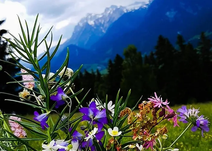 펜션 Hirzhof So Bike&ski Ridehaus In Out