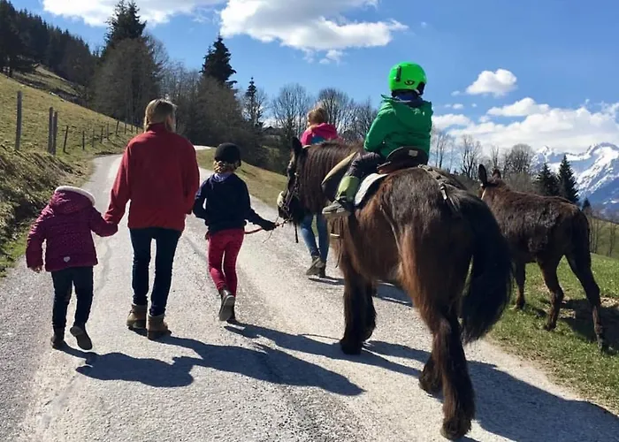 度假居 Hirzhof So Bike&ski Ridehaus In Out