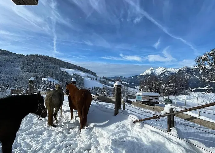 Hirzhof So Bike&ski Ridehaus In Out * Auberg