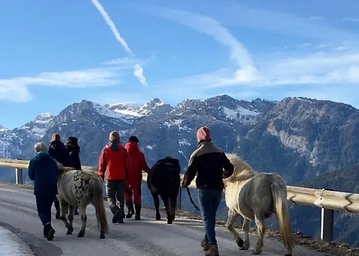 Hirzhof So Bike&ski Ridehaus In Out * Auberg