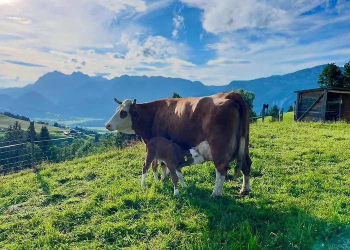 度假居 Hirzhof So Bike&ski Ridehaus In Out