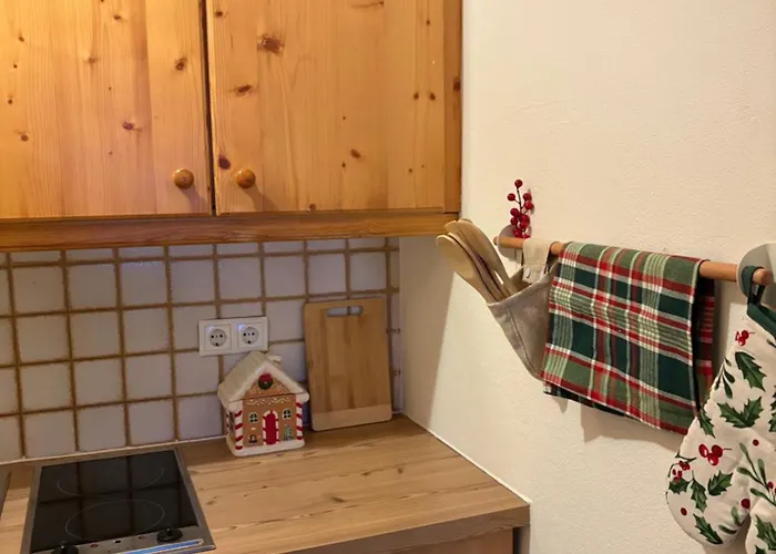 Hirzhof So Bike&ski Ridehaus In Out *